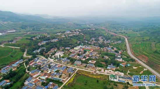 臨滄四小龍的“忙肺”和馬鞍山古樹茶特點(diǎn)區(qū)別